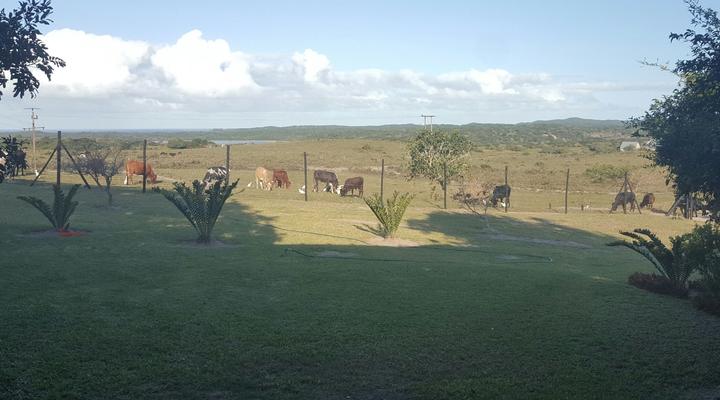 Sodwana View Holiday Homes