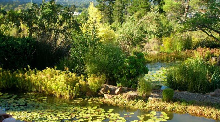 Artemis Barn Cottages