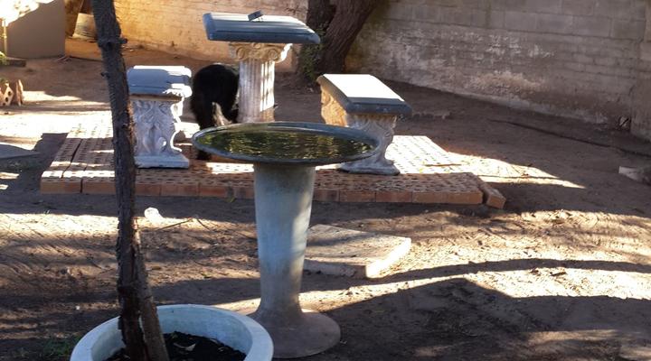 Parc 10 Accommodation