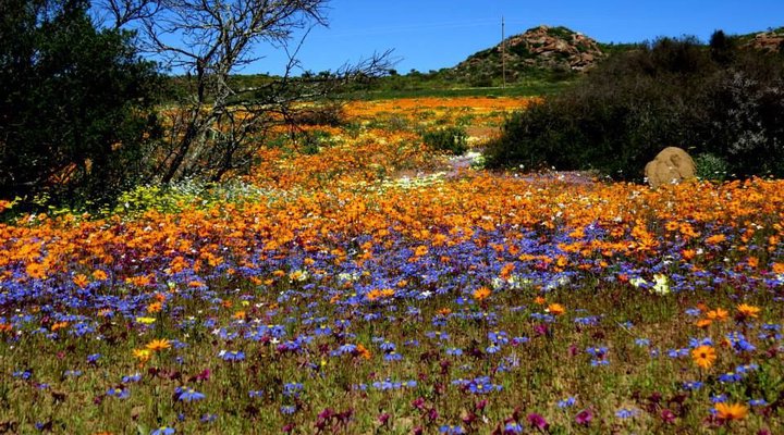 Koperberg Guest House