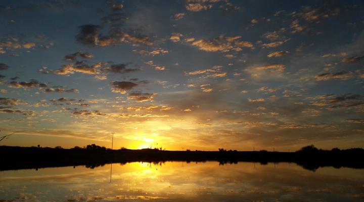 Orange Vineyard Guestfarm