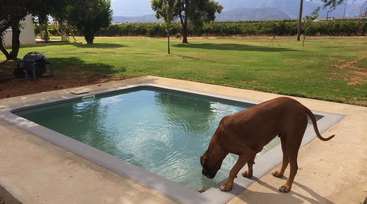 Esperance Farmstay - Vineyard House