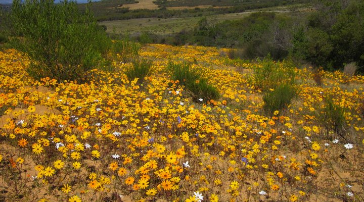 Elandsberg Eco Tourism