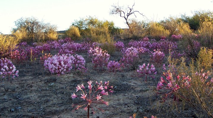 Elandsberg Eco Tourism