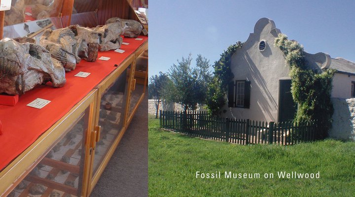 Wellwood Farm - Trymore Cottage