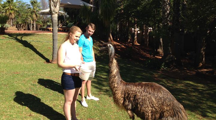 Woodridge Palms Boutique Hotel