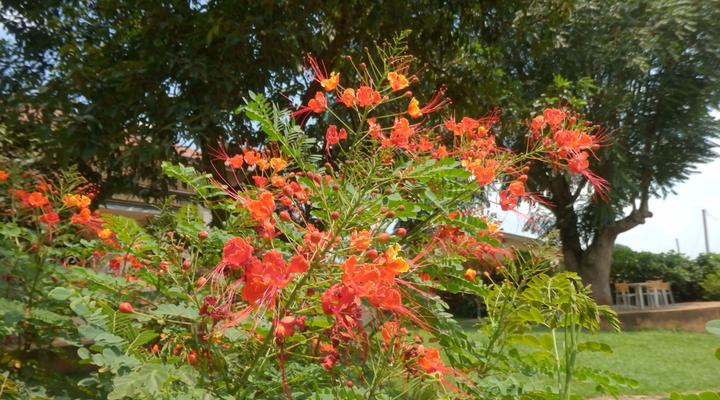 Dutchess Hotel and Restaurant