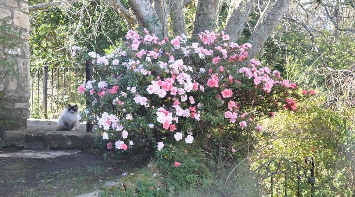  Bredon Self Catering Stone Cottage