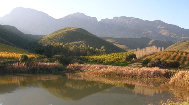 Olyfenbosch Cottages