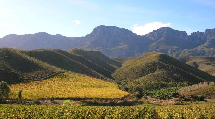 Olyfenbosch Cottages
