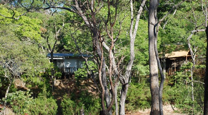 Dzalanyama Forest Lodge