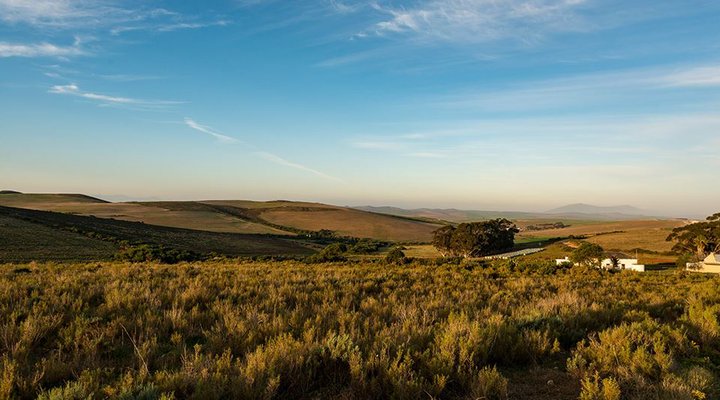 Haarwegskloof Renosterveld Reserve