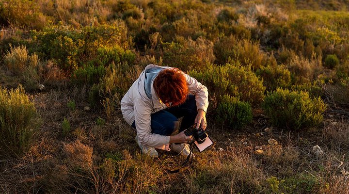 Haarwegskloof Renosterveld Reserve