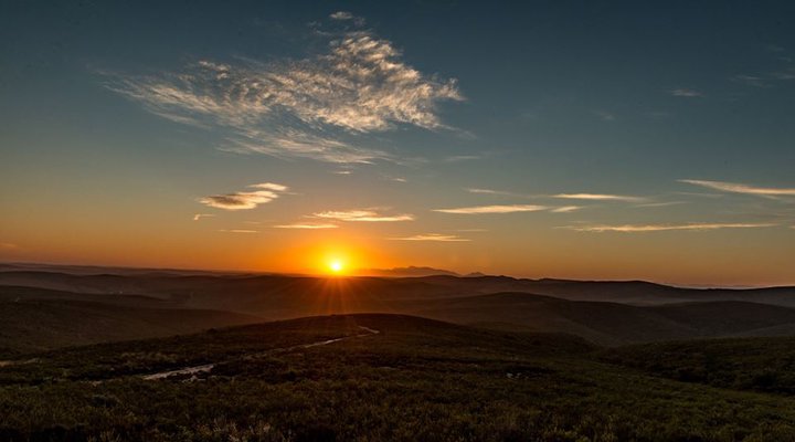 Haarwegskloof Renosterveld Reserve