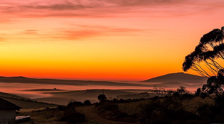Haarwegskloof Renosterveld Reserve