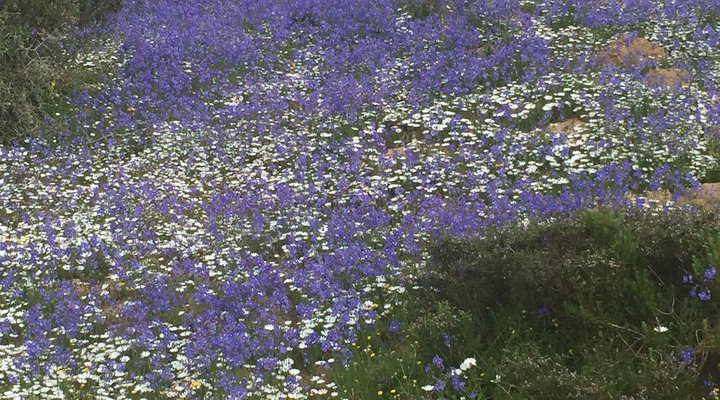 At the Rocks Guesthouse