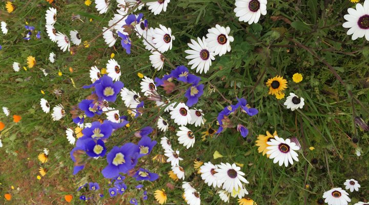 At the Rocks Guesthouse