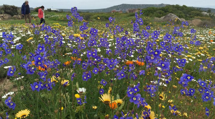 At the Rocks Guesthouse