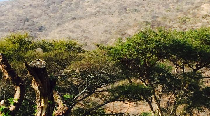 Ithaba Falls Guest Farm