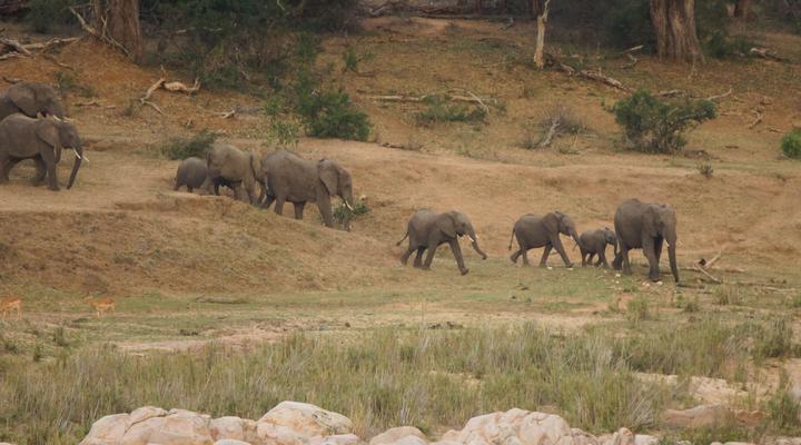 Kruger River Self-Catering