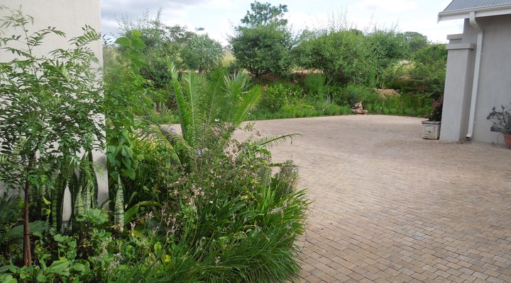 Sabi River Guest House