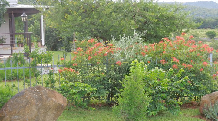 Sabi River Guest House