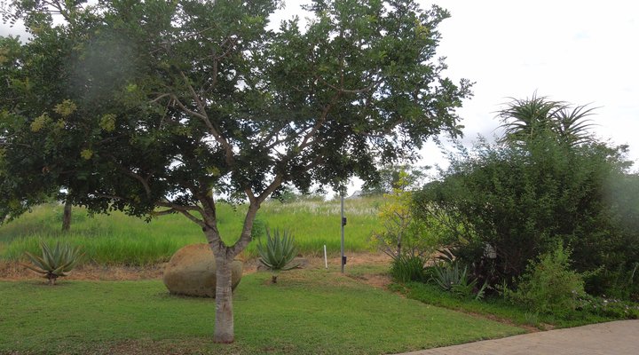 Sabi River Guest House