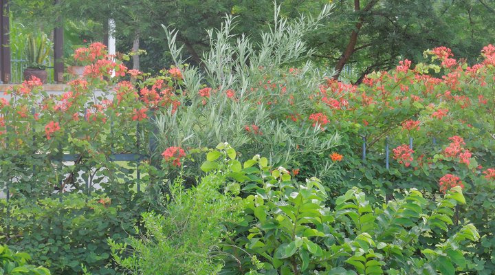 Sabi River Guest House