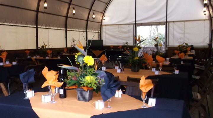 Tussen-I-Bome Oxwagon Resort