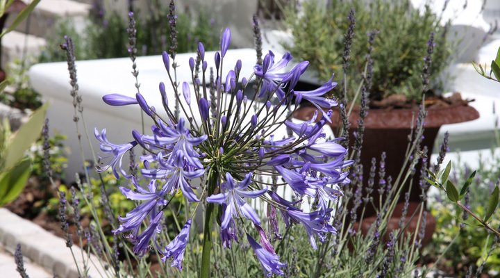 Rivertime Self-catering- Velddrif