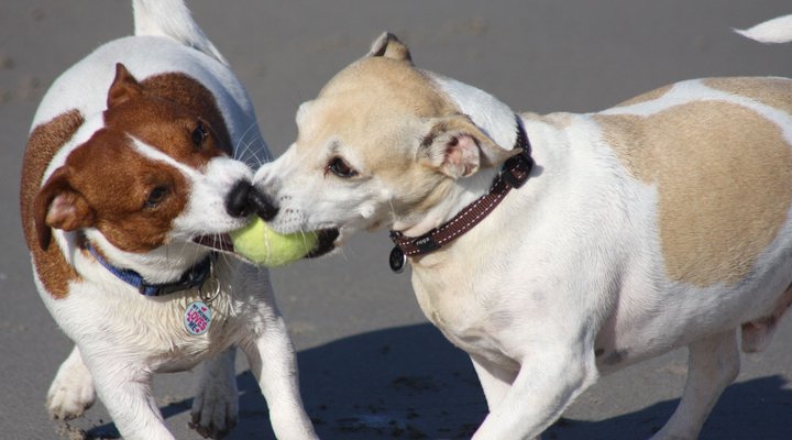 Rivertime Self-catering- Velddrif