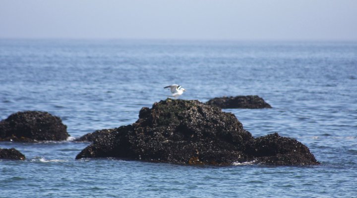 Rivertime Self-catering- Velddrif