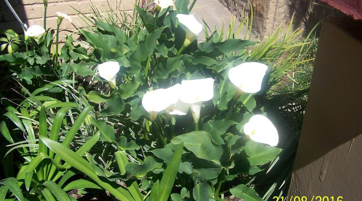 11th Avenue Guesthouse