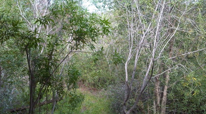 Eden Self Catering Cabins