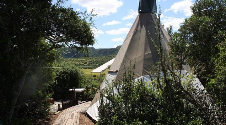 TiPi Bush Camp
