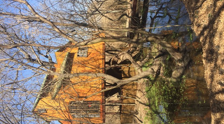 Willow Nest Treehouse Riversands