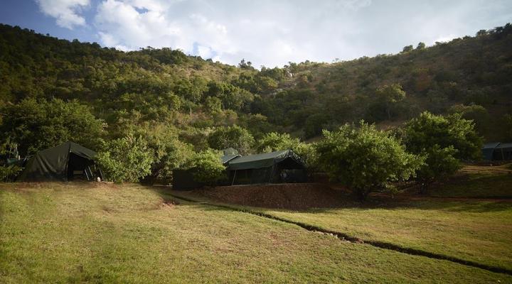 The Nubian In The Mara