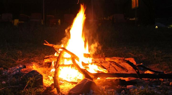 The Nubian In The Mara