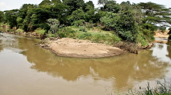 The Nubian In The Mara