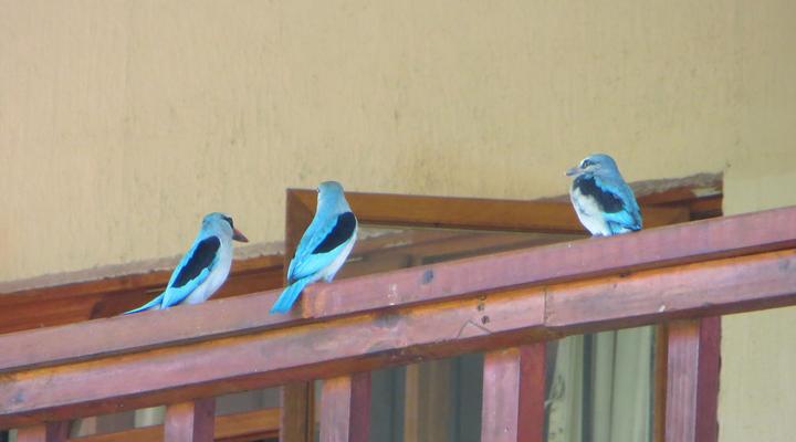 Phokoje Bed and Breakfast