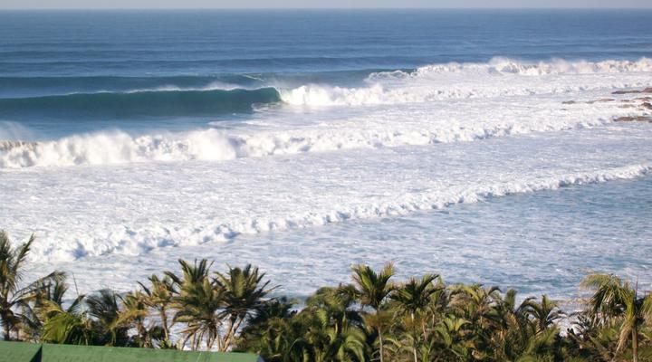 RAMSGATE PALMS no 70