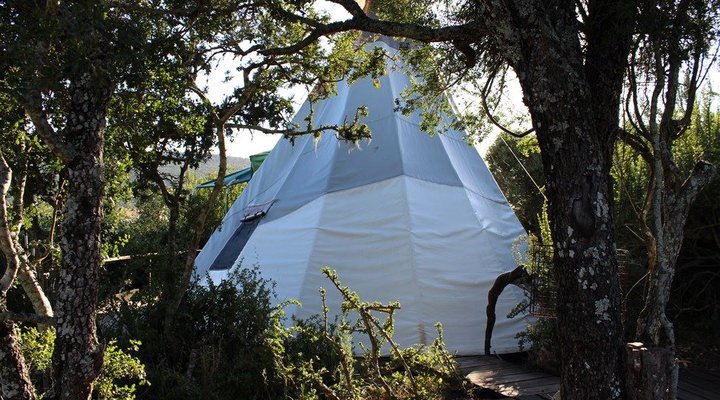 TiPi Bush Camp