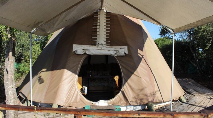 TiPi Bush Camp