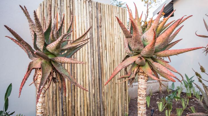 Hamiltons Lodge and Restaurant