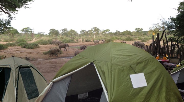 Liya Lodge & Campsite