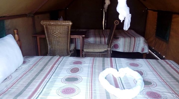 Liya Lodge & Campsite