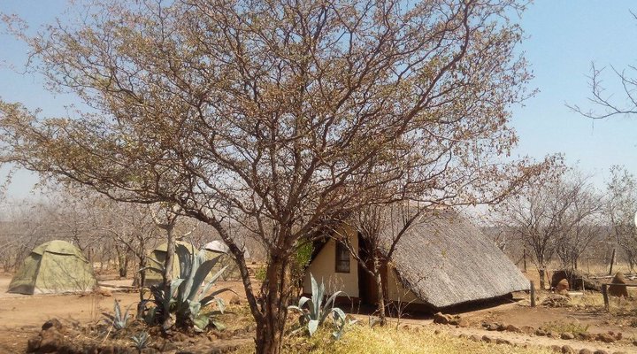 Liya Lodge & Campsite