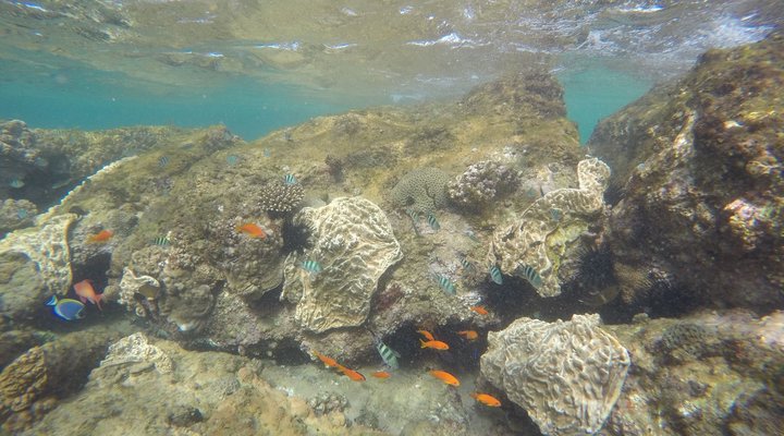 Khumbula iMozambique