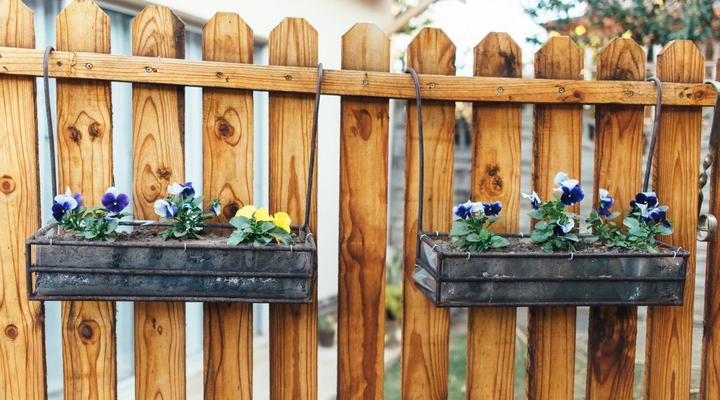 Ibis Self-catering Unit