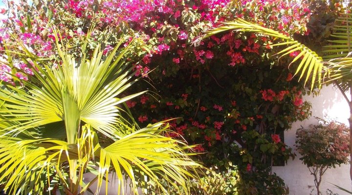 At Sta-Plus Guest House